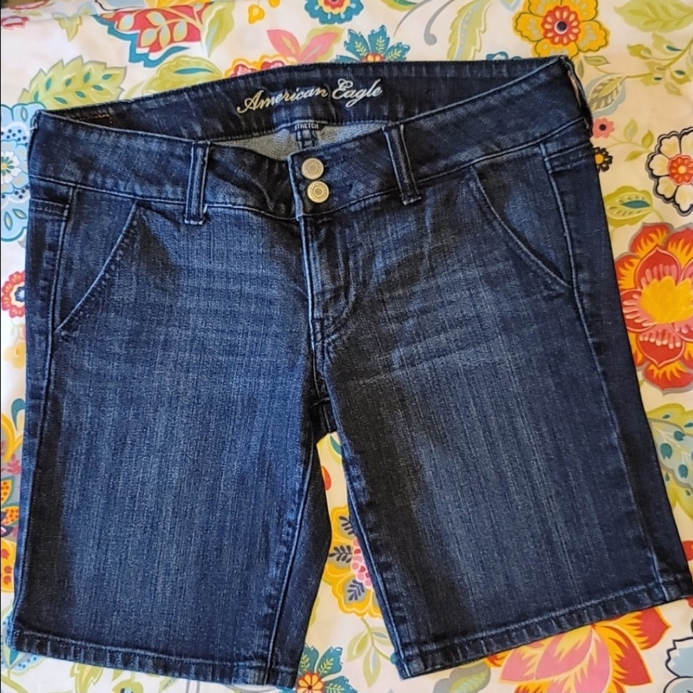 American Eagle Outfitters Low Rise Stretch Denim Shorts Size 6